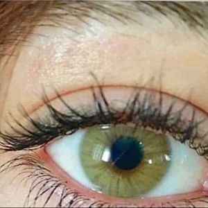 Meet your Posher, Dalia